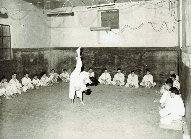 Tatami ancien recouvert d’une bâche